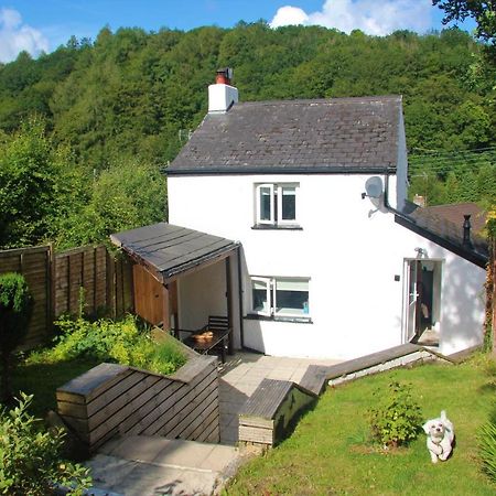 Peacock Cottage Cinderford Exteriér fotografie