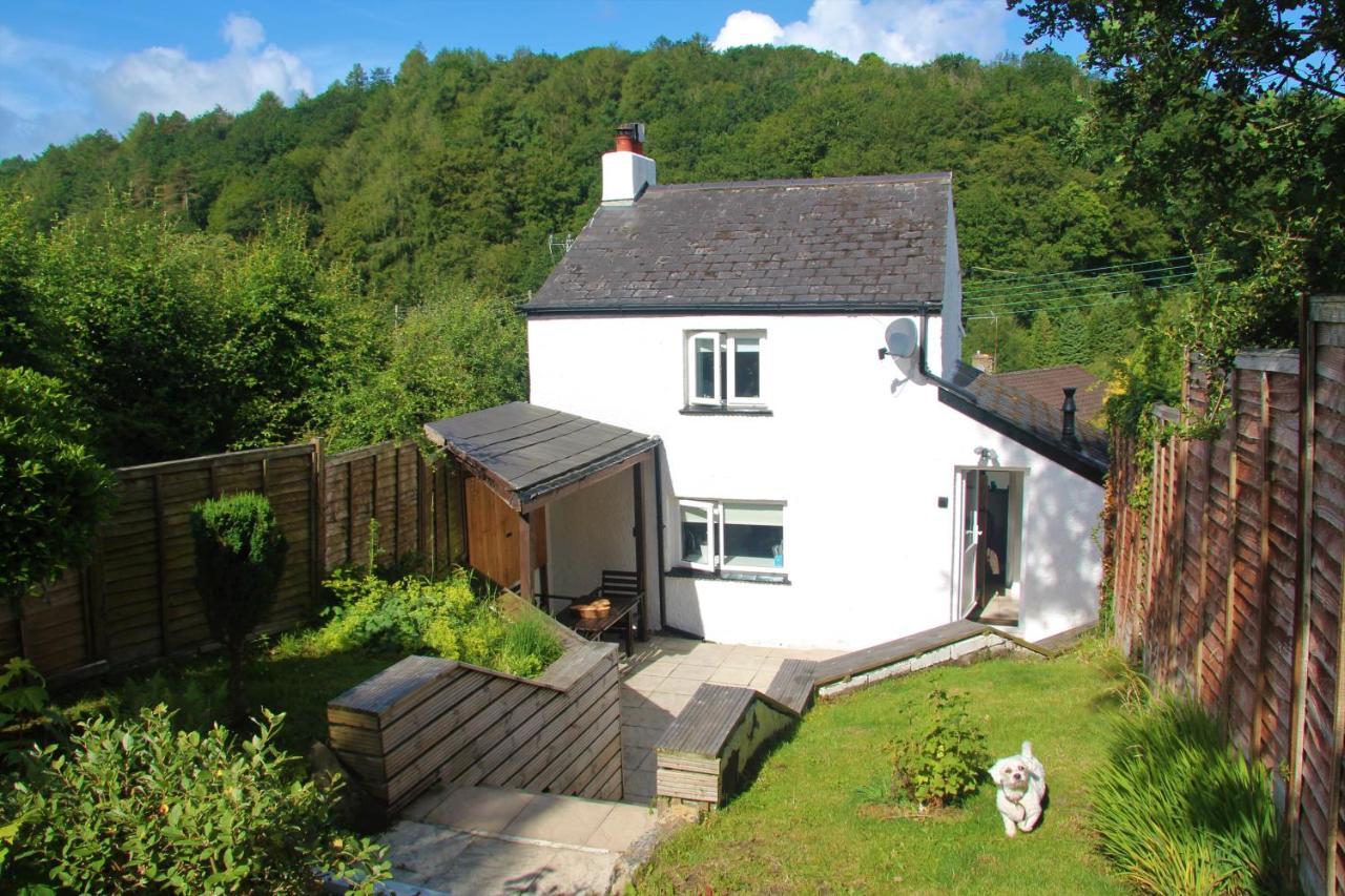 Peacock Cottage Cinderford Exteriér fotografie